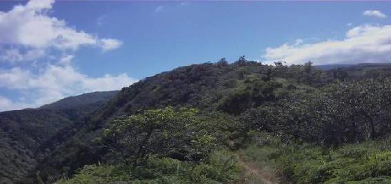 The view from Razor Ridge